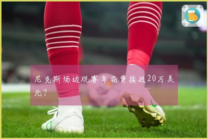 尼克斯场边观赛年花费接近20万美元？